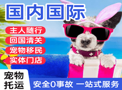 昆明长水空运公司国际宠物托运 【国